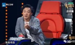 詹小胖爆料刘磊视频,真相与争议并存