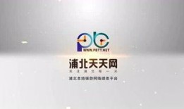 浦北天天网最新爆料,揭秘最新热点事件内幕