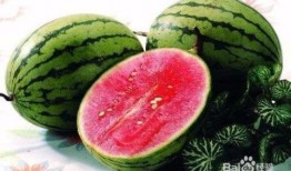 网红吃瓜8秒,揭秘娱乐圈幕后真相