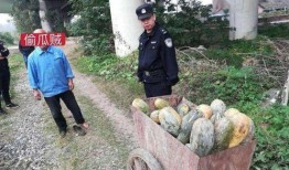 徽县吃瓜网红事件真相视频,真相视频背后的惊人内幕