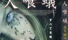 在线观看食人蚁军团.,惊悚揭秘自然界的恐怖生物