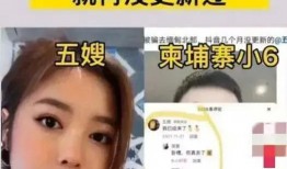 五嫂被害爆料视频大全,真相与疑云交织