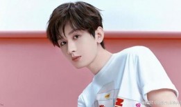 成毅家世爆料视频大全最新,成毅家世爆料视频大全深度解析