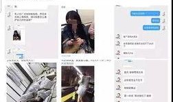 爆料营销号的视频,视频内容深度解析