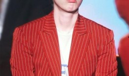 边伯贤媒体爆料了吗视频,揭秘背后真相