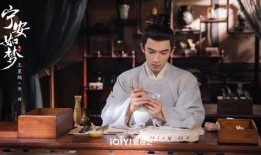 宁安如梦爆料新闻,揭秘娱乐圈最新热点事件