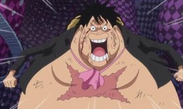 路飞最新爆料吧是哪一集