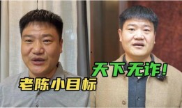 老陈警官爆料视频大全集,揭秘警界风云