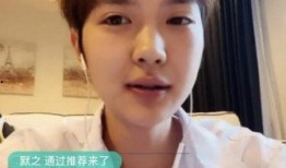 张泰艺直播爆料了吗视频,爆料视频背后的真相与内幕