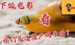 娱乐吃瓜牛片,吃瓜牛片背后的故事