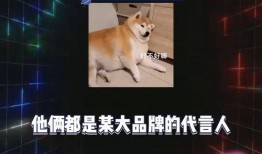 直播爆料娱乐圈爆瓜是什么,揭秘明星幕后故事