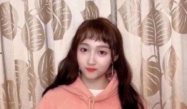 鹿晗反面爆料视频大全最新,背后真相与争议事件大盘点