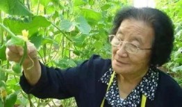 娱乐吃瓜音频下载免费听,揭秘娱乐圈幕后故事