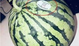 网红打假吃瓜,揭秘吃瓜群众的真相追踪