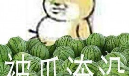 网红吃瓜爆料黑料不打洋,吃瓜爆料，不打洋黑料背后的真相