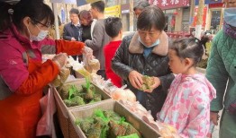 景区免费吃瓜活动方案,瓜果飘香——景区免费吃瓜活动盛大开启！”